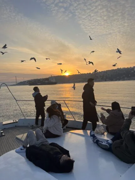 Seagulls flying over the Bosphorus at sunset during a private yacht cruise in Istanbul