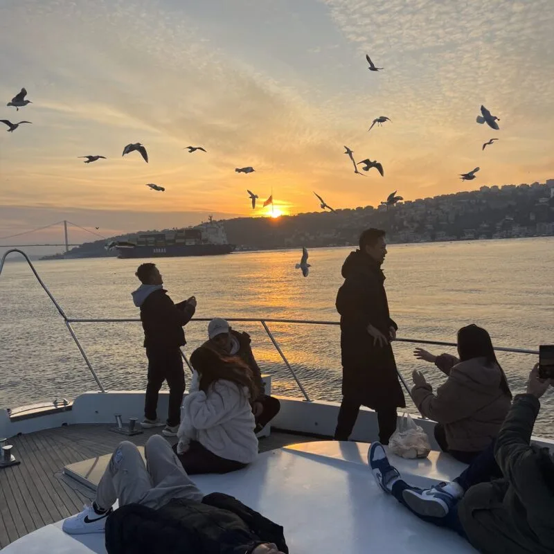 Seagulls flying over the Bosphorus at sunset during a private yacht cruise in Istanbul